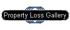 Property Loss Gallery